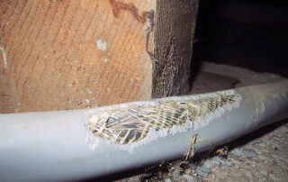 AMI - home inspection sample - rodents and utility lines